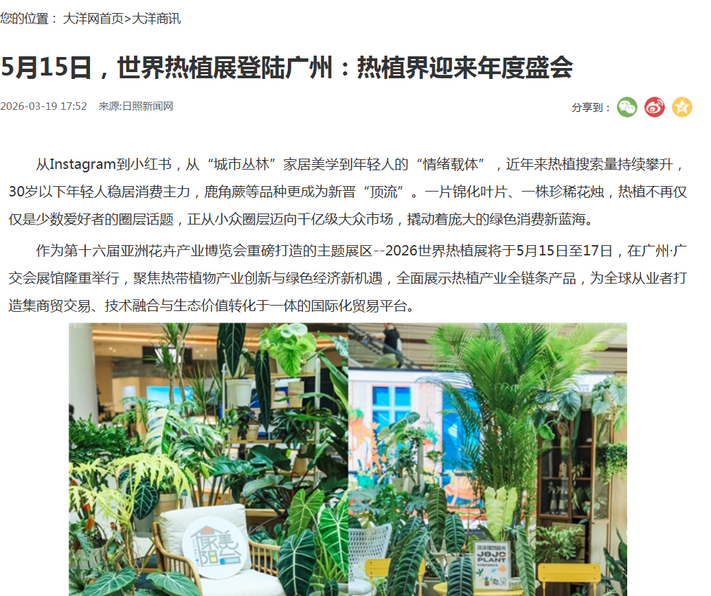大洋網.png