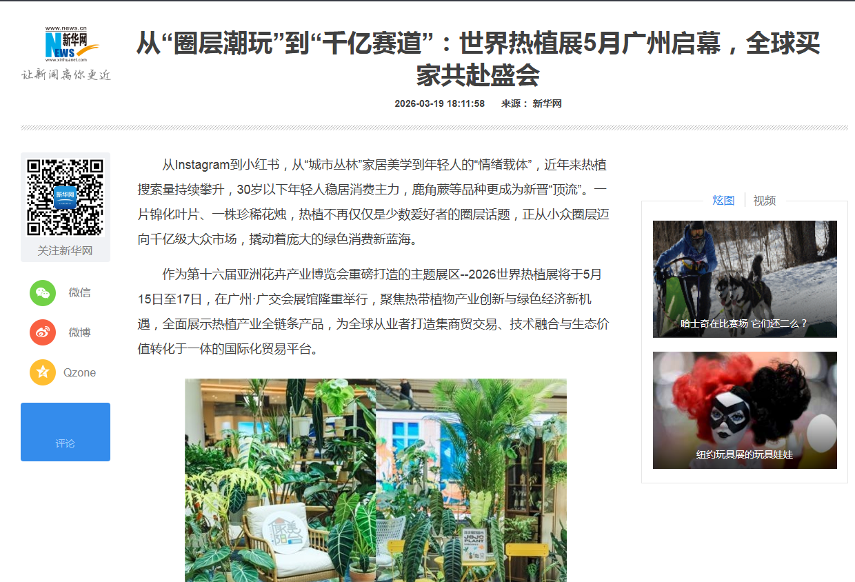 新華網.png